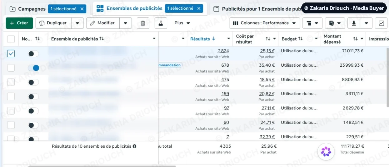 Meta Ads Manager ad set table, names masked: best ad set 2,824 purchases at €25.15